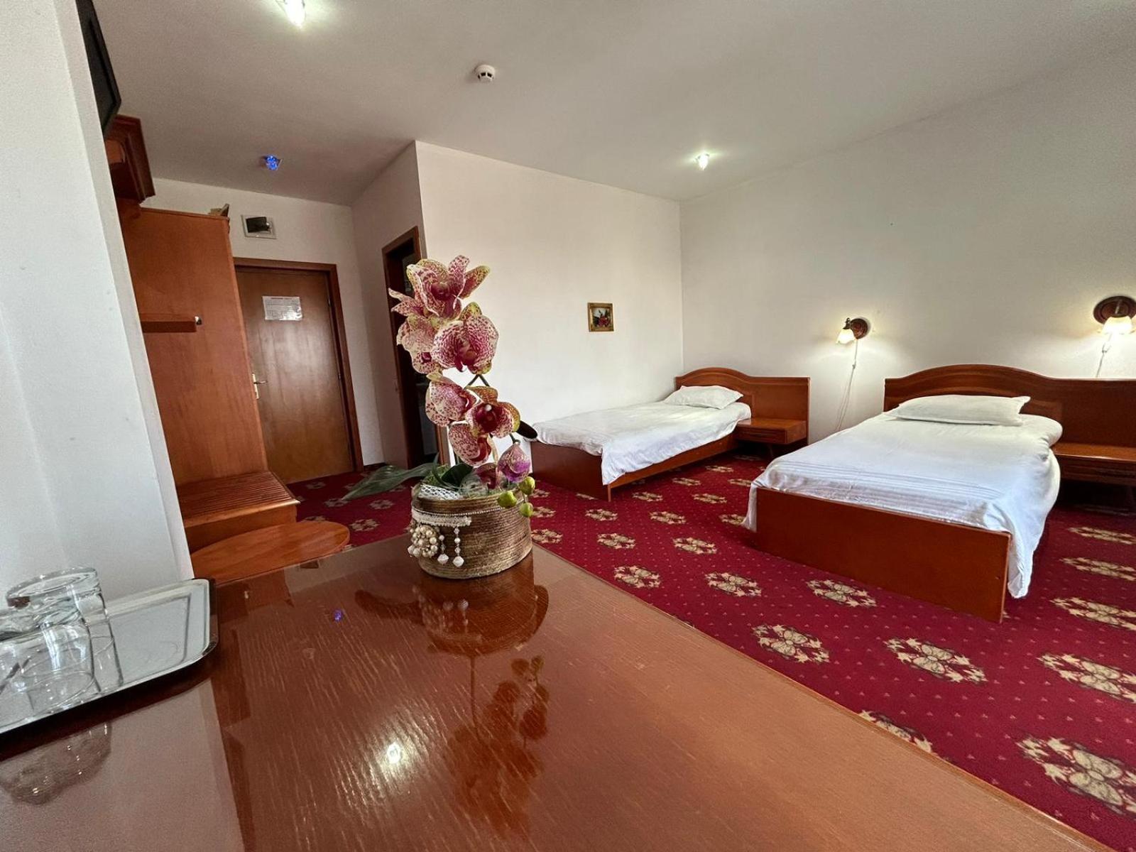 Hotel Coral Satu Mare Luaran gambar